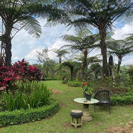 Lembah Cinta Mayungan Baturiti Bagian luar foto