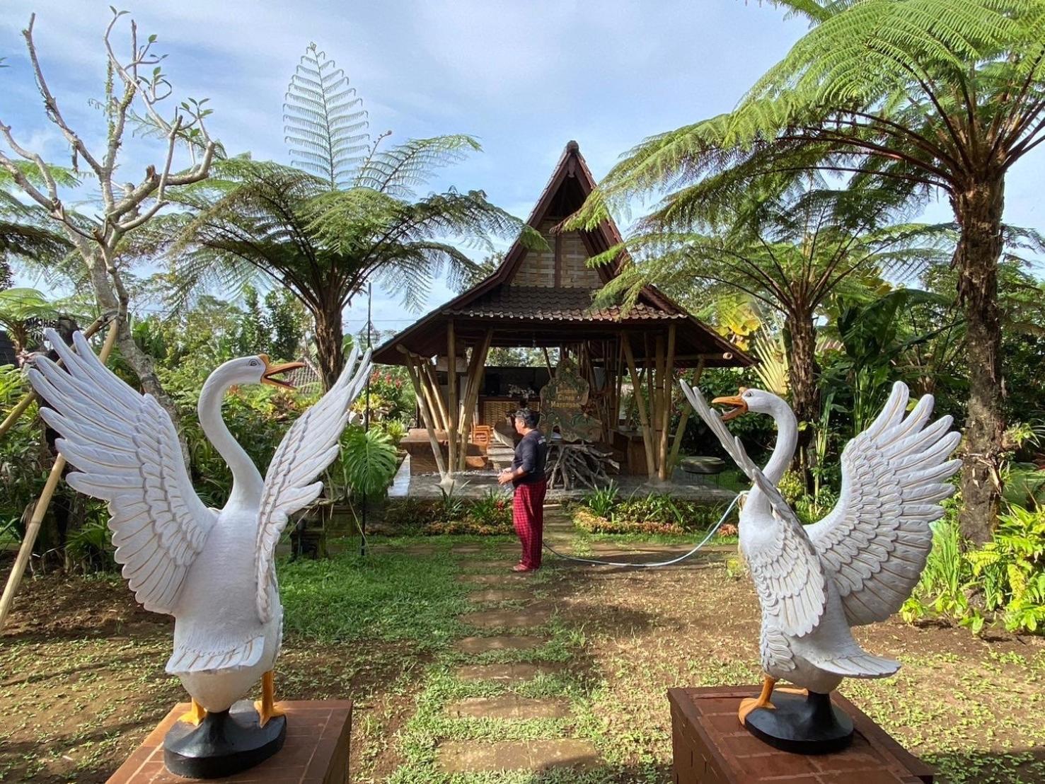 Lembah Cinta Mayungan Baturiti Bagian luar foto