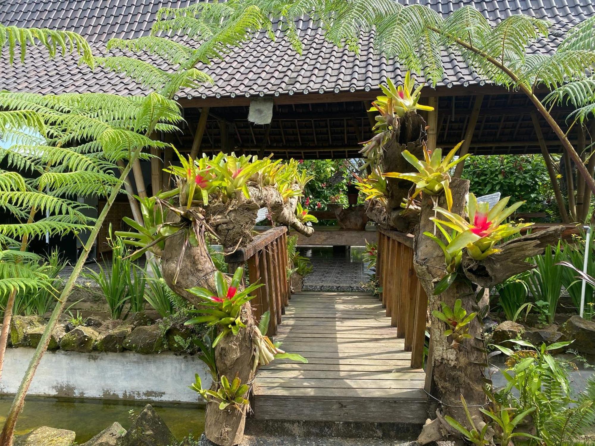 Lembah Cinta Mayungan Baturiti Bagian luar foto