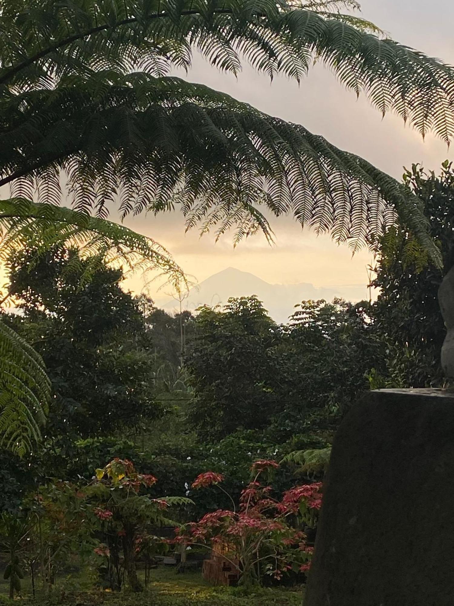 Lembah Cinta Mayungan Baturiti Bagian luar foto